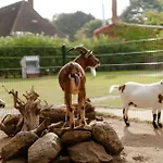 Achter De Hoef Whg 5 * Staberdorf