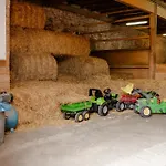 Achter De Hoef Whg 5 Hébergement de vacances