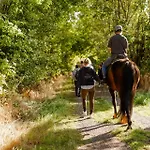 Achter De Hoef Whg 5 Hébergement de vacances