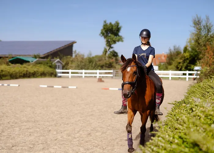 بيت للعطل Achter De Hoef Whg 5