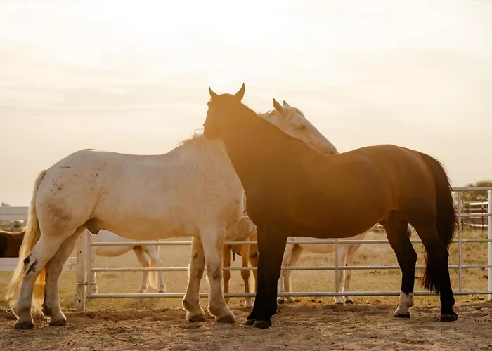 Achter De Hoef Whg 5 *