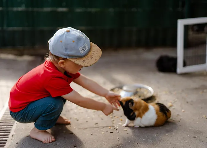 Achter De Hoef Whg 5 * Staberdorf