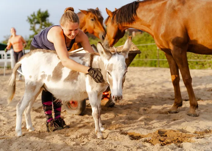 Achter De Hoef Whg 5 بيت للعطل *