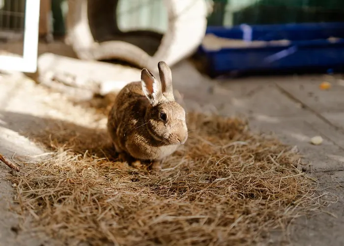 بيت للعطل Achter De Hoef Whg 5