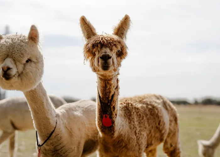 Achter De Hoef Whg 5 Staberdorf