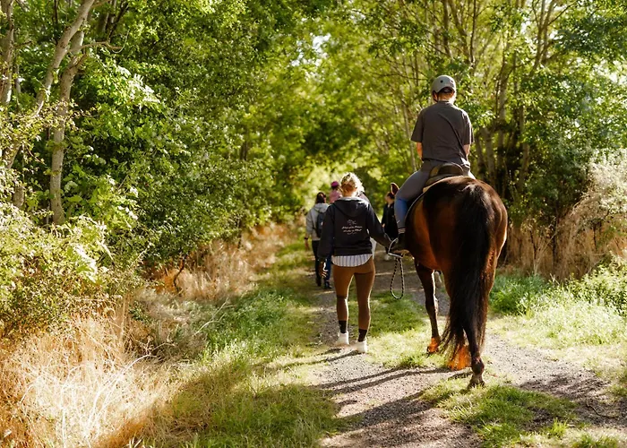 Achter De Hoef Whg 5 بيت للعطل